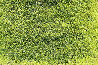 爱死机中国团队分享《原子之心》设定图 恐怖诡异